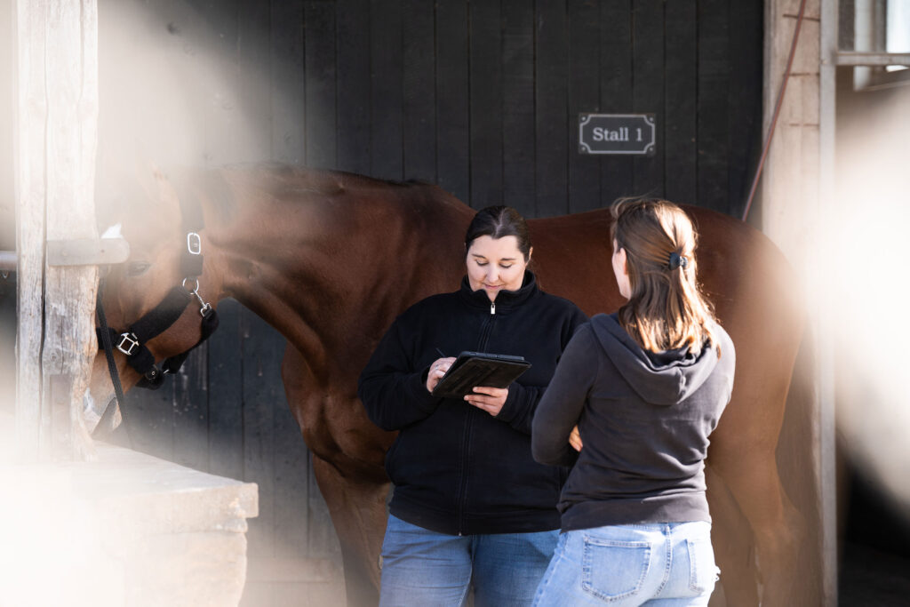 Anamnese im Rahmen der Futterberatung am Pferd